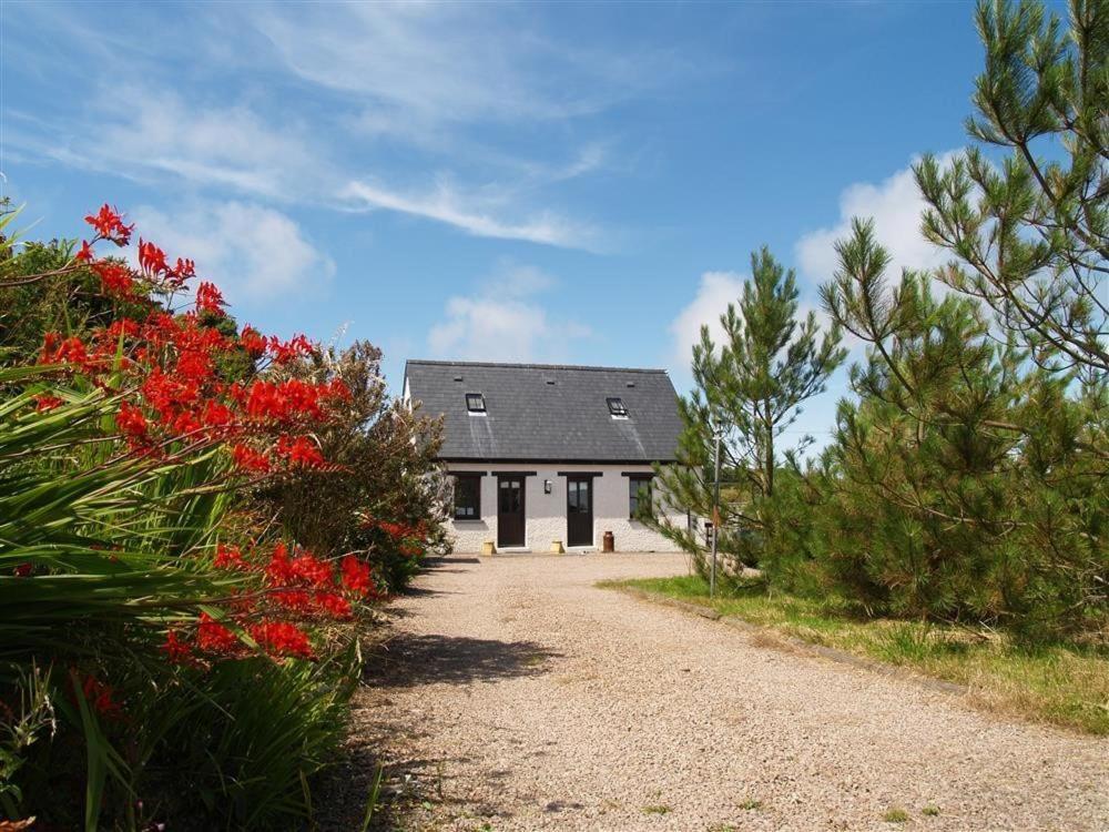 Cockshead Cottage Saint Dogmaels Екстер'єр фото