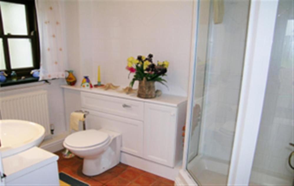 Cockshead Cottage Saint Dogmaels Екстер'єр фото